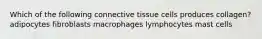 Which of the following connective tissue cells produces collagen? adipocytes fibroblasts macrophages lymphocytes mast cells