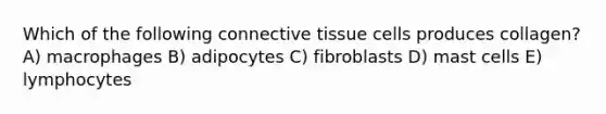 Which of the following connective tissue cells produces collagen? A) macrophages B) adipocytes C) fibroblasts D) mast cells E) lymphocytes