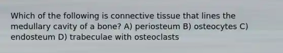 Which of the following is connective tissue that lines the medullary cavity of a bone? A) periosteum B) osteocytes C) endosteum D) trabeculae with osteoclasts