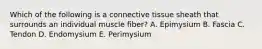 Which of the following is a connective tissue sheath that surrounds an individual muscle fiber? A. Epimysium B. Fascia C. Tendon D. Endomysium E. Perimysium