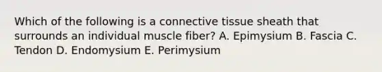 Which of the following is a connective tissue sheath that surrounds an individual muscle fiber? A. Epimysium B. Fascia C. Tendon D. Endomysium E. Perimysium