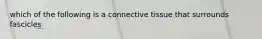 which of the following is a connective tissue that surrounds fascicles