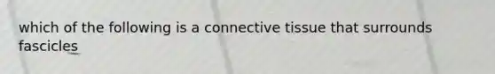 which of the following is a connective tissue that surrounds fascicles