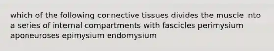 which of the following connective tissues divides the muscle into a series of internal compartments with fascicles perimysium aponeuroses epimysium endomysium