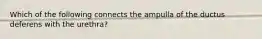 Which of the following connects the ampulla of the ductus deferens with the urethra?