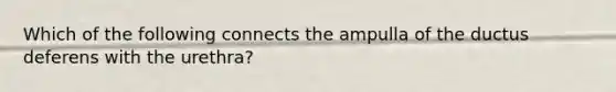 Which of the following connects the ampulla of the ductus deferens with the urethra?