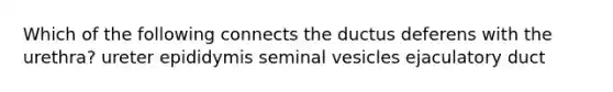 Which of the following connects the ductus deferens with the urethra? ureter epididymis seminal vesicles ejaculatory duct