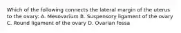 Which of the following connects the lateral margin of the uterus to the ovary: A. Mesovarium B. Suspensory ligament of the ovary C. Round ligament of the ovary D. Ovarian fossa