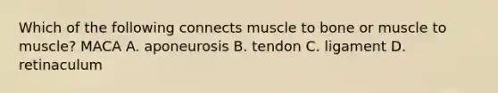 Which of the following connects muscle to bone or muscle to muscle? MACA A. aponeurosis B. tendon C. ligament D. retinaculum