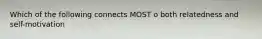 Which of the following connects MOST o both relatedness and self-motivation