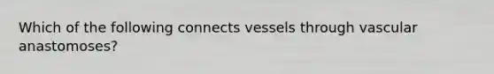 Which of the following connects vessels through vascular anastomoses?