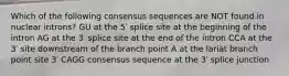 Which of the following consensus sequences are NOT found in nuclear introns? GU at the 5′ splice site at the beginning of the intron AG at the 3′ splice site at the end of the intron CCA at the 3′ site downstream of the branch point A at the lariat branch point site 3′ CAGG consensus sequence at the 3′ splice junction