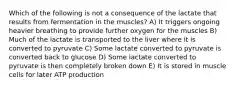 Which of the following is not a consequence of the lactate that results from fermentation in the muscles? A) It triggers ongoing heavier breathing to provide further oxygen for the muscles B) Much of the lactate is transported to the liver where it is converted to pyruvate C) Some lactate converted to pyruvate is converted back to glucose D) Some lactate converted to pyruvate is then completely broken down E) It is stored in muscle cells for later ATP production