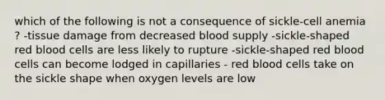 which of the following is not a consequence of sickle-cell anemia ? -tissue damage from decreased blood supply -sickle-shaped red blood cells are less likely to rupture -sickle-shaped red blood cells can become lodged in capillaries - red blood cells take on the sickle shape when oxygen levels are low