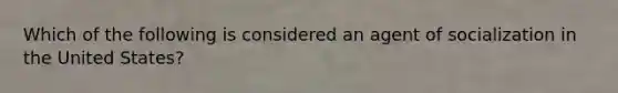 Which of the following is considered an agent of socialization in the United States?