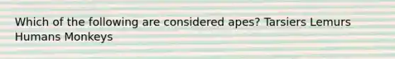 Which of the following are considered apes? Tarsiers Lemurs Humans Monkeys