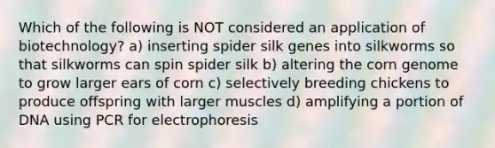 Which of the following is NOT considered an application of biotechnology? a) inserting spider silk genes into silkworms so that silkworms can spin spider silk b) altering the corn genome to grow larger ears of corn c) selectively breeding chickens to produce offspring with larger muscles d) amplifying a portion of DNA using PCR for electrophoresis