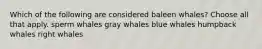 Which of the following are considered baleen whales? Choose all that apply. sperm whales gray whales blue whales humpback whales right whales