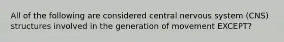 All of the following are considered central nervous system (CNS) structures involved in the generation of movement EXCEPT?