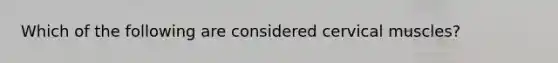 Which of the following are considered cervical muscles?