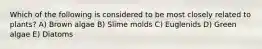 Which of the following is considered to be most closely related to plants? A) Brown algae B) Slime molds C) Euglenids D) Green algae E) Diatoms