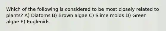 Which of the following is considered to be most closely related to plants? A) Diatoms B) Brown algae C) <a href='https://www.questionai.com/knowledge/kHvmUbfxIK-slime-molds' class='anchor-knowledge'>slime molds</a> D) Green algae E) Euglenids