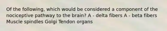 Of the following, which would be considered a component of the nociceptive pathway to the brain? A - delta fibers A - beta fibers Muscle spindles Golgi Tendon organs