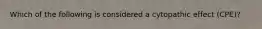 Which of the following is considered a cytopathic effect (CPE)?