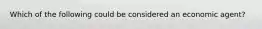 Which of the following could be considered an economic agent?