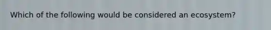 Which of the following would be considered an ecosystem?