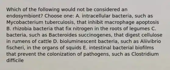 Which of the following would not be considered an endosymbiont? Choose one: A. intracellular bacteria, such as Mycobacterium tuberculosis, that inhibit macrophage apoptosis B. rhizobia bacteria that fix nitrogen in the roots of legumes C. bacteria, such as Bacteroides succinogenes, that digest cellulose in rumens of cattle D. bioluminescent bacteria, such as Aliivibrio fischeri, in the organs of squids E. intestinal bacterial biofilms that prevent the colonization of pathogens, such as Clostridium difficile