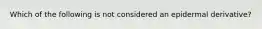 Which of the following is not considered an epidermal derivative?