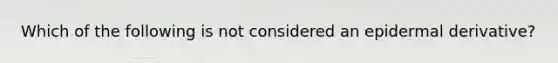 Which of the following is not considered an epidermal derivative?