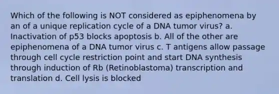 Which of the following is NOT considered as epiphenomena by an of a unique replication cycle of a DNA tumor virus? a. Inactivation of p53 blocks apoptosis b. All of the other are epiphenomena of a DNA tumor virus c. T antigens allow passage through cell cycle restriction point and start DNA synthesis through induction of Rb (Retinoblastoma) transcription and translation d. Cell lysis is blocked