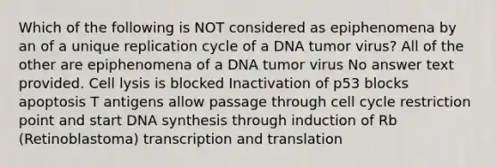 Which of the following is NOT considered as epiphenomena by an of a unique replication cycle of a DNA tumor virus? All of the other are epiphenomena of a DNA tumor virus No answer text provided. Cell lysis is blocked Inactivation of p53 blocks apoptosis T antigens allow passage through cell cycle restriction point and start DNA synthesis through induction of Rb (Retinoblastoma) transcription and translation