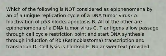 Which of the following is NOT considered as epiphenomena by an of a unique replication cycle of a DNA tumor virus? A. Inactivation of p53 blocks apoptosis B. All of the other are epiphenomena of a DNA tumor virus C. T antigens allow passage through cell cycle restriction point and start DNA synthesis through induction of Rb (Retinoblastoma) transcription and translation D. Cell lysis is blocked E. No answer text provided.