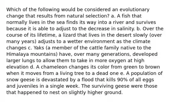 Which of the following would be considered an evolutionary change that results from natural selection? a. A fish that normally lives in the sea finds its way into a river and survives because it is able to adjust to the decrease in salinity. b. Over the course of its lifetime, a lizard that lives in the desert slowly (over many years) adjusts to a wetter environment as the climate changes c. Yaks (a member of the cattle family native to the Himalaya mountains) have, over many generations, developed larger lungs to allow them to take in more oxygen at high elevation d. A chameleon changes its color from green to brown when it moves from a living tree to a dead one e. A population of snow geese is devastated by a flood that kills 90% of all eggs and juveniles in a single week. The surviving geese were those that happened to nest on slightly higher ground.