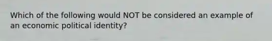 Which of the following would NOT be considered an example of an economic political identity?