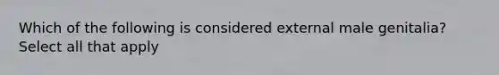 Which of the following is considered external male genitalia? Select all that apply