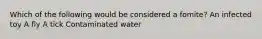 Which of the following would be considered a fomite? An infected toy A fly A tick Contaminated water