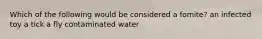 Which of the following would be considered a fomite? an infected toy a tick a fly contaminated water