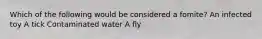 Which of the following would be considered a fomite? An infected toy A tick Contaminated water A fly