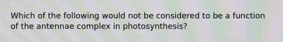 Which of the following would not be considered to be a function of the antennae complex in photosynthesis?