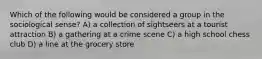 Which of the following would be considered a group in the sociological sense? A) a collection of sightseers at a tourist attraction B) a gathering at a crime scene C) a high school chess club D) a line at the grocery store