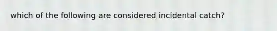 which of the following are considered incidental catch?