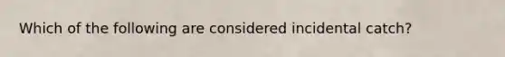 Which of the following are considered incidental catch?