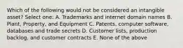 Which of the following would not be considered an intangible asset? Select one: A. Trademarks and internet domain names B. Plant, Property, and Equipment C. Patents, computer software, databases and trade secrets D. Customer lists, production backlog, and customer contracts E. None of the above