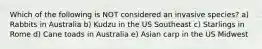Which of the following is NOT considered an invasive species? a) Rabbits in Australia b) Kudzu in the US Southeast c) Starlings in Rome d) Cane toads in Australia e) Asian carp in the US Midwest