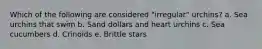 Which of the following are considered "irregular" urchins? a. Sea urchins that swim b. Sand dollars and heart urchins c. Sea cucumbers d. Crinoids e. Brittle stars
