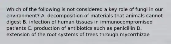 Which of the following is not considered a key role of fungi in our environment? A. decomposition of materials that animals cannot digest B. infection of human tissues in immunocompromised patients C. production of antibiotics such as penicillin D. extension of the root systems of trees through mycorrhizae